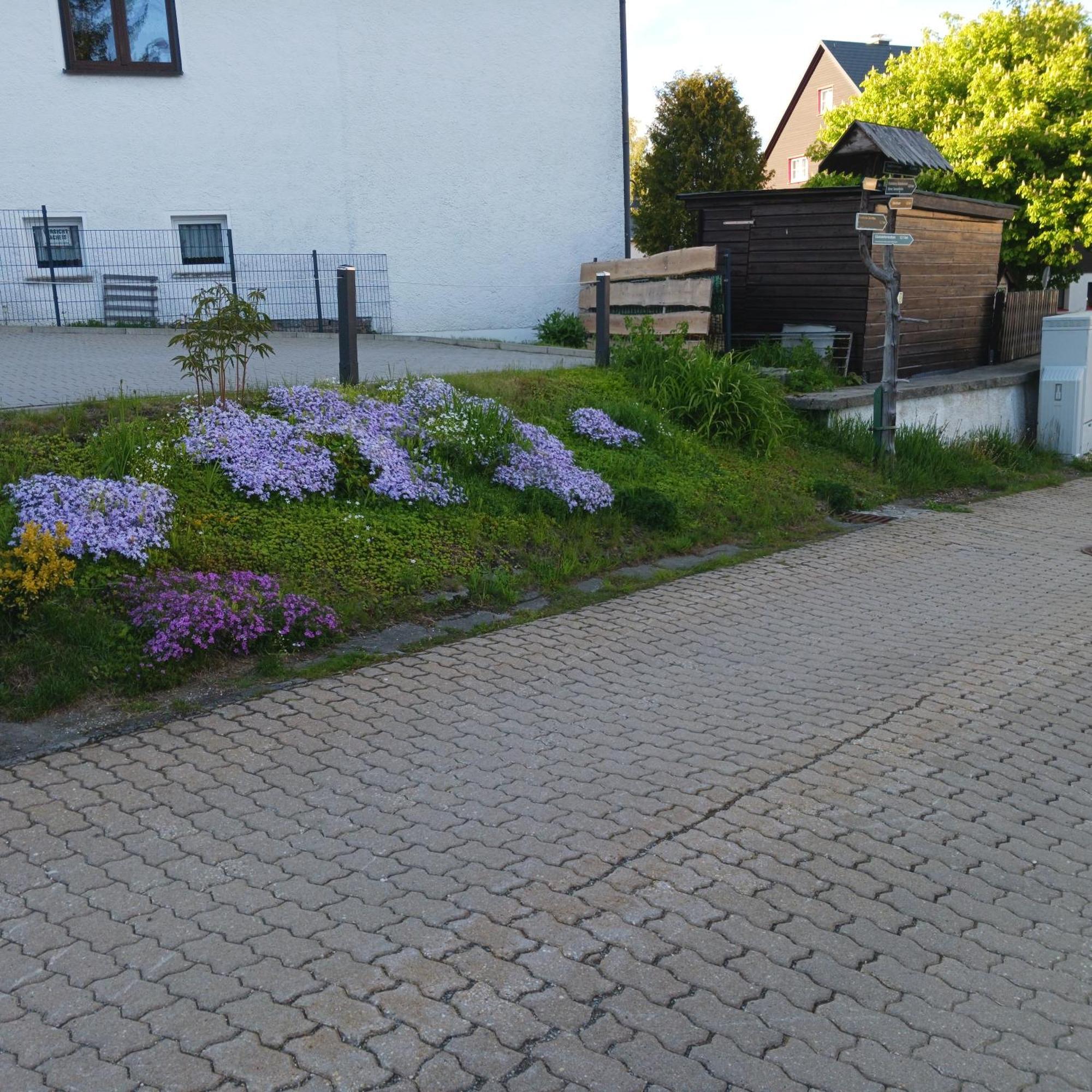 Apartments - Lehmanns Ferienwohnungen Oberwiesenthal Exterior photo
